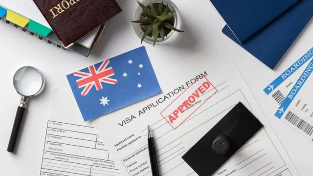 Visa_Application_Assistance_and_Review_for_Fast_Approval